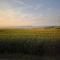 LiFarm