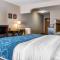 Comfort Suites Benton Harbor - St Joseph