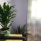 Apartamento Vicentino