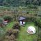Dumbo Eco Camp