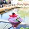 Evidencia Belverde Hotel
