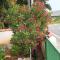 Apartman VTS