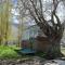 Green yard Home