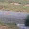 Crocodile Safari Camp