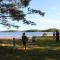 Tervakallio Camping
