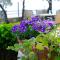 Guesthouse Enastron
