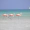 Foto: Holbox Casa Punta Coco - Adults Only 34/97