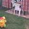 Manan Guesthouse