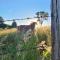 Barn on the Burnett, Mundubbera