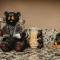 A Bears Hibernation condo