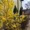 Posti Old Town Apartment