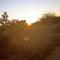 Shalakwe Hills-Inn Guesthouse Kasane