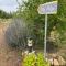Villa Phos