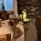 Las Aurelias Finca Boutique - San Vicente