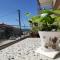 Theros Summer Suite 2