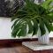 Jungle Cubby by Coast Hosting