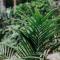 Palm House by Coast Hosting