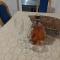 Apartman 10