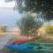 Apartments Neno