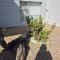 HERMANUS , SANDBAAI holiday house