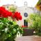 Guest House Franko