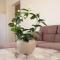 2-bedroom apartment Jasmine