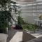 Bougainvillea lounge