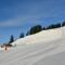 Wallegg Lodge - Alpine Premium Chalet - Ski In-Ski Out - Зальбах-Гінтерглемм