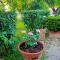 IL GIARDINO DI ATHENA