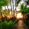 Ocean Forest Ecolodge