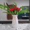 Humacao guest house