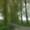 Holiday home in Cul-des-Sarts near Forest