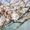 Hotel Fukui Castle - Vacation STAY 58682v