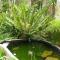 See More Guest House