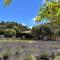 Apartment in Provence near Alpilles