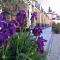 Residence Fiesole