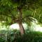 De Opstal Country Lodge
