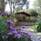 Camping Lacona Pineta