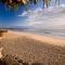 Coastal Home in Mooloolaba