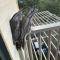 Villa Above Par, Privately Managed within Cypress Lakes Resort, Premier 2 Storey Villa, 2 Bedrooms, both with Private Ensuites, Light Breakfast included