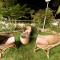 Hari Niwas - A Boutique Garden Resort Mount Abu