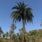 Hari Niwas - A Boutique Garden Resort Mount Abu