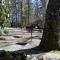 Linville Falls Campground, RV Park, and Cabins - Linville Falls
