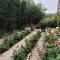 Roses Villa