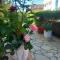 Darios Apartaments 2