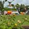 Cilento Dreams Village