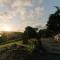 Rainforest Sunsets by Tiny Away