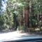 Big Sur Lodge