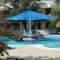 Morning Star Diani