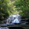 Explore the Blue Mountains on foot
